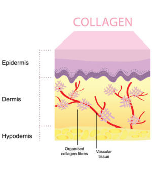 best anti-aging skin care supplements