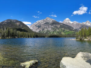 summer time in jackson-hole