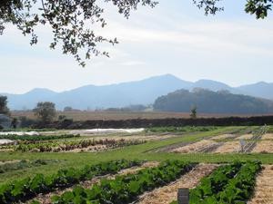 Keller Organic Garden