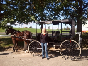 horse and buggy in PA