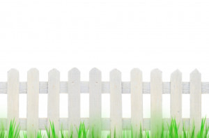 image of fence in yard