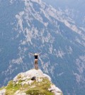 woman at top of peak