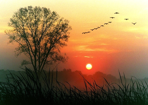 sunset