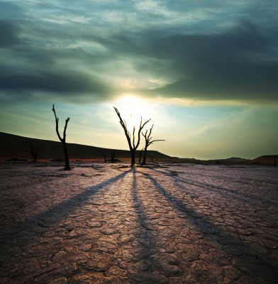 dry desert landscape