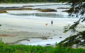 Looking out the window at Chesterman Beach