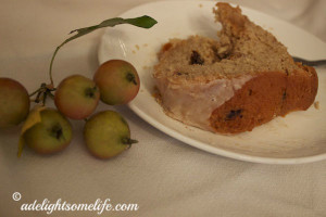 slice-of-Autumn-cake-with-Crabapples