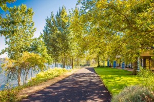 Rivers Edge Hotel photo of river trail