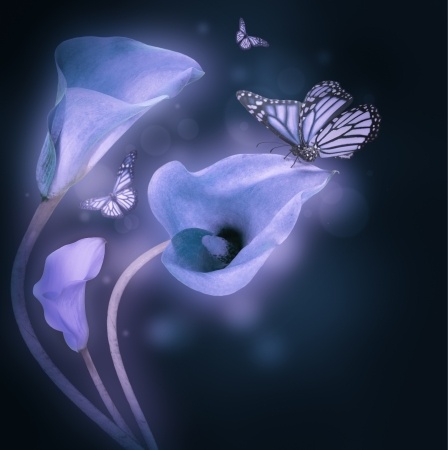 artistic image of lillies and butterflies