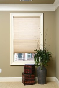 Alicia Kwan photo Choosing the Best Possible Blinds for You 02