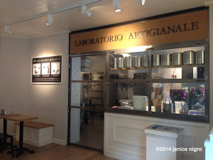 Janice Nigro photo laboratorio artiginale copyright