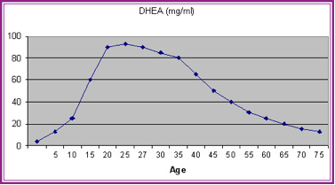 DHEA