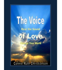 The Voice book cover by Connie Christiansen