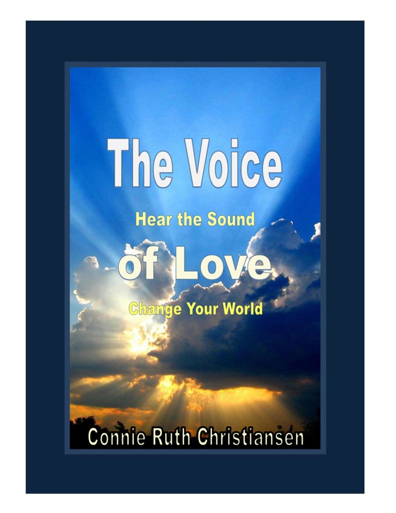 The Voice book cover by Connie Christiansen