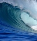 ocean breaker wave