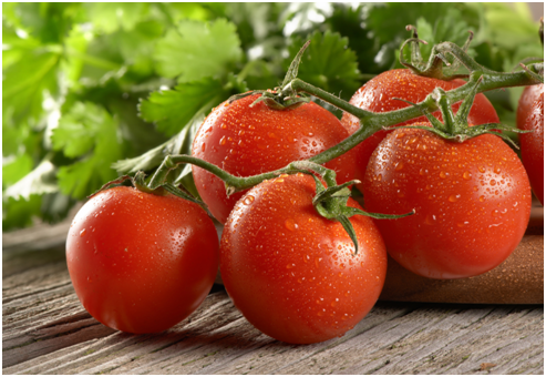 picture of tomatoes