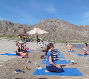Villa del Palmar