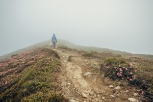 wander out of the way