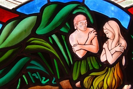 What's the name of your fig leaf