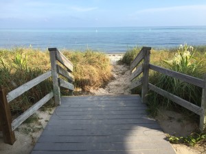 IMG_4628