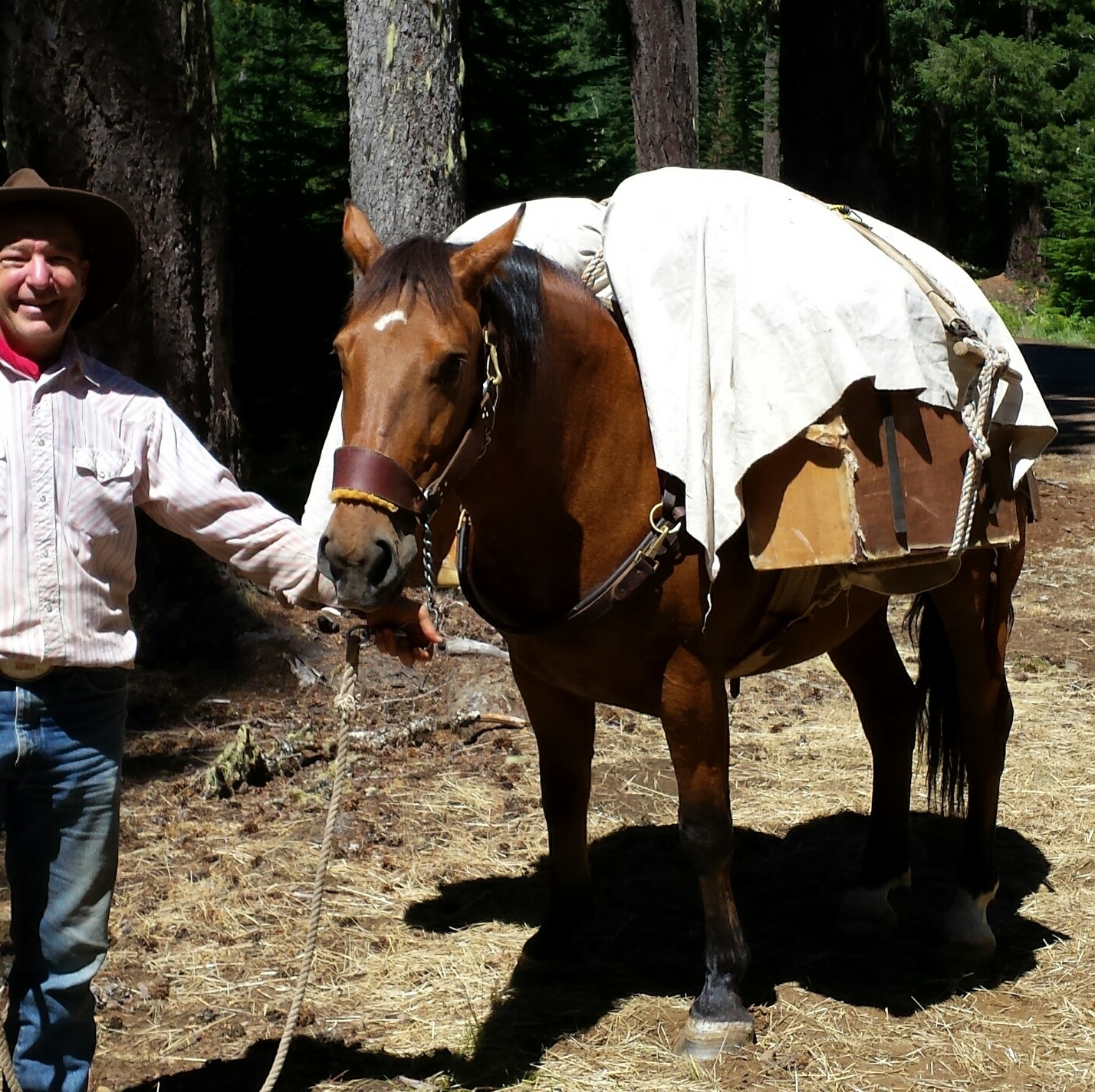 Horse Packing or Luxury Cruise?Horse Packing or Luxury Cruise