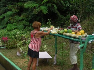 Roadside vegetable stand