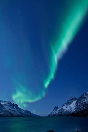 northern lights  aurora borealis  in norway