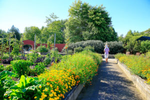 Do You Live in the UK’s Gardening Hotspot?