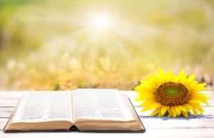 Read your bible