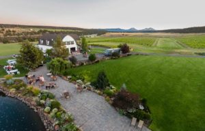 Discover Faith Hope and Charity Vineyards