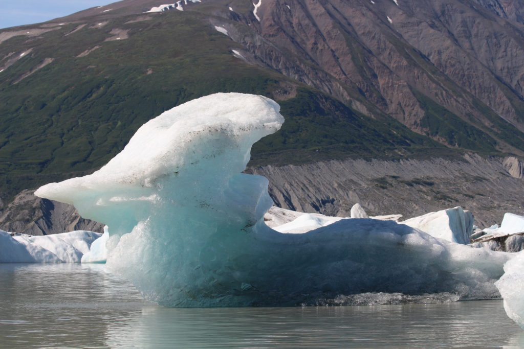 An iceberg floating like a loon on Lowell Lake