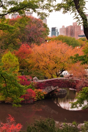 5 Ways to Escape the Hustle and Bustle of NYC