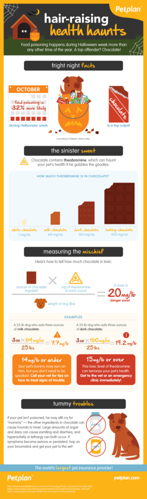 Halloween’s Most Haunting Pet Health Hazards