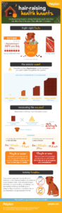 Halloween’s Most Haunting Pet Health Hazards