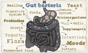 Easy Ways to Improve Digestion and Enhance Your Well-Being