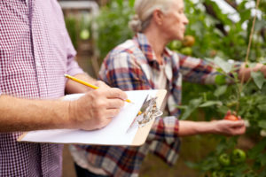 4 Eco-Friendly Business Ideas That Can Make Money
