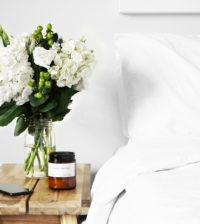 Eucalyptus sheet