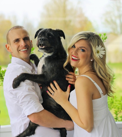 Pets Divorce