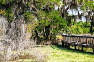 Hiking Trails