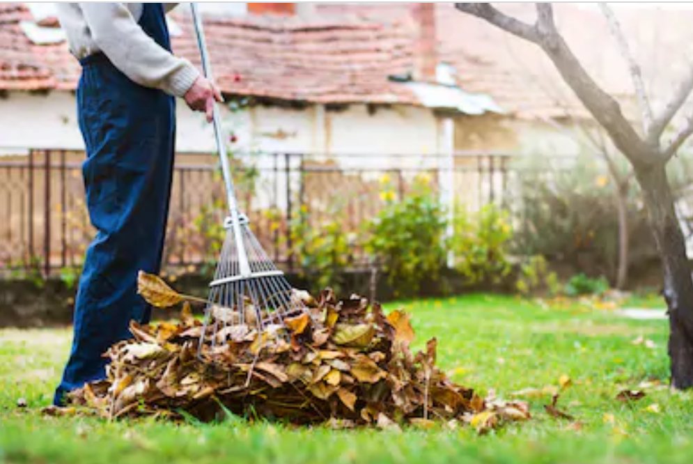 Yard tasks