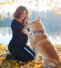 Dog Lovers