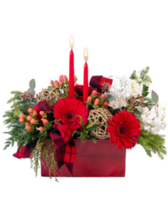 Gift Guide