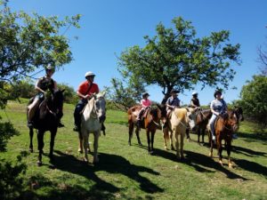 Horseback Safari
