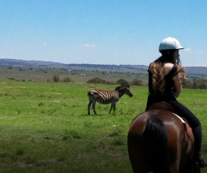 Horseback Safari