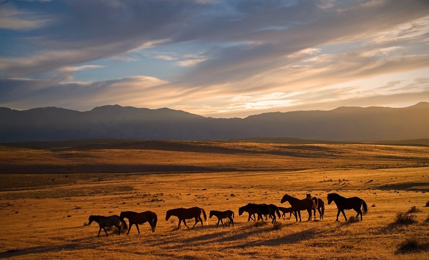 Carson Valley