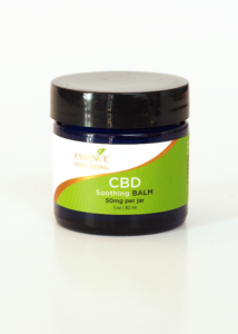 Best Holiday Gift Guide for 2020