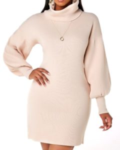 Holiday Fashion Sweater Dress