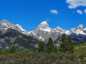 summer time in jackson-hole